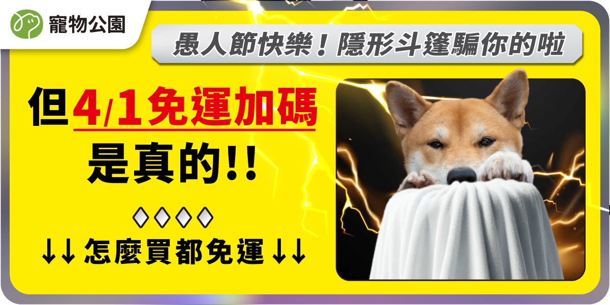 4/1 寶可夢愚人節 免運加碼 寵速配
